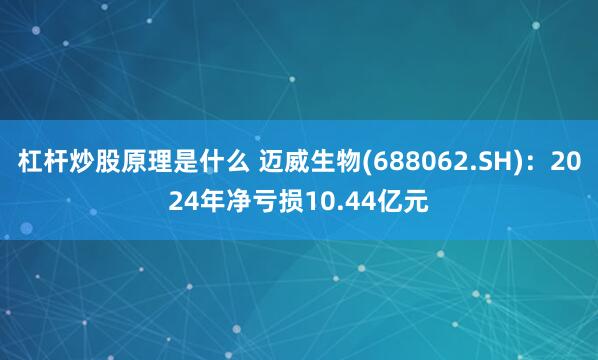 杠杆炒股原理是什么 迈威生物(688062.SH)：2024年净亏损10.44亿元