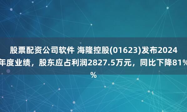 股票配资公司软件 海隆控股(01623)发布2024年度业绩，股东应占利润2827.5万元，同比下降81%