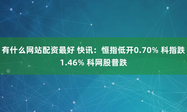 有什么网站配资最好 快讯：恒指低开0.70% 科指跌1.46% 科网股普跌