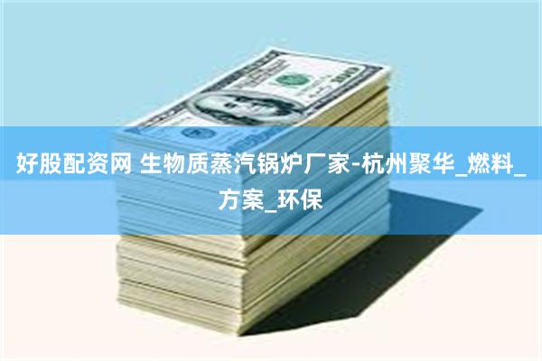 好股配资网 生物质蒸汽锅炉厂家-杭州聚华_燃料_方案_环保