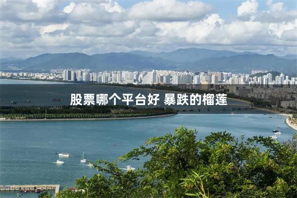 股票哪个平台好 暴跌的榴莲