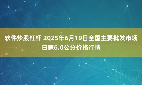 软件炒股杠杆 2025年6月19日全国主要批发市场白蒜6.0公分价格行情