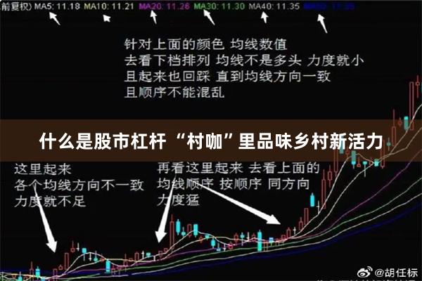 什么是股市杠杆 “村咖”里品味乡村新活力