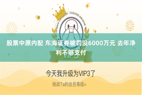 股票中原内配 东海证券被罚没6000万元 去年净利不够支付