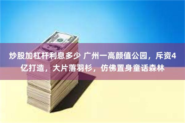 炒股加杠杆利息多少 广州一高颜值公园，斥资4亿打造，大片落羽杉，仿佛置身童话森林