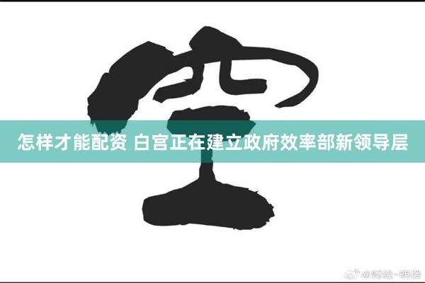 怎样才能配资 白宫正在建立政府效率部新领导层