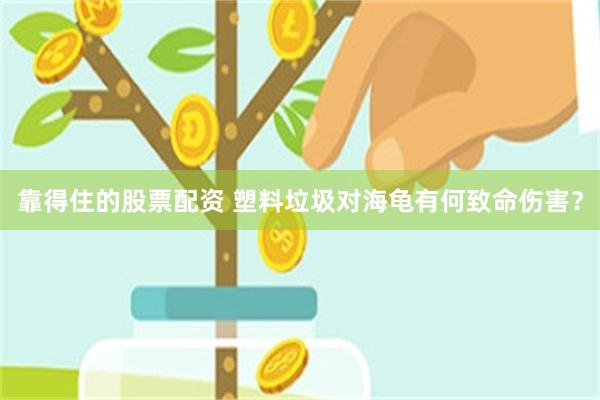 靠得住的股票配资 塑料垃圾对海龟有何致命伤害？