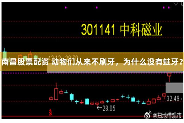 南昌股票配资 动物们从来不刷牙，为什么没有蛀牙？