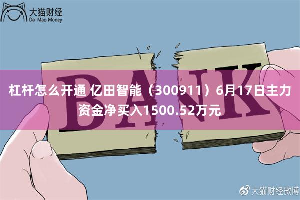 杠杆怎么开通 亿田智能（300911）6月17日主力资金净买入1500.52万元
