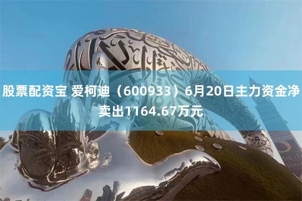 股票配资宝 爱柯迪（600933）6月20日主力资金净卖出1164.67万元
