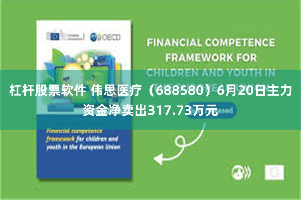 杠杆股票软件 伟思医疗（688580）6月20日主力资金净卖出317.73万元