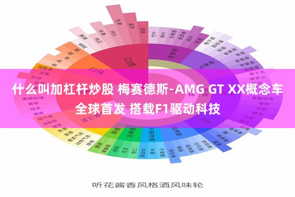 什么叫加杠杆炒股 梅赛德斯-AMG GT XX概念车全球首发 搭载F1驱动科技
