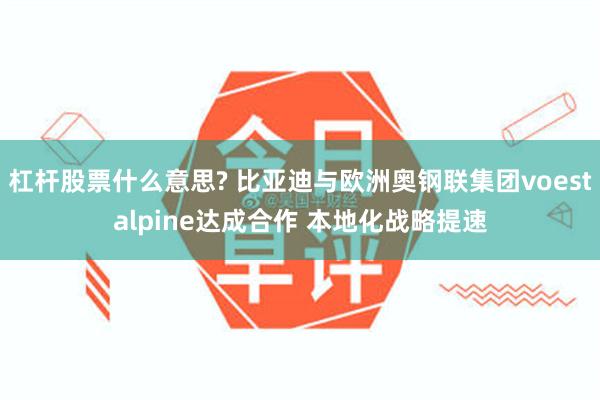 杠杆股票什么意思? 比亚迪与欧洲奥钢联集团voestalpine达成合作 本地化战略提速