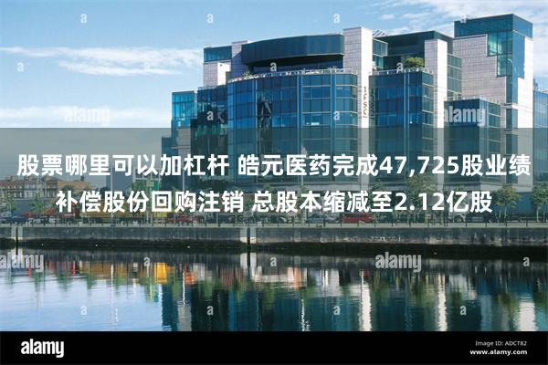 股票哪里可以加杠杆 皓元医药完成47,725股业绩补偿股份回购注销 总股本缩减至2.12亿股