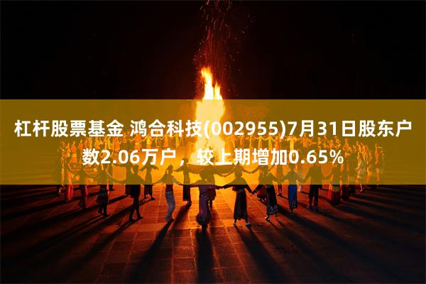 杠杆股票基金 鸿合科技(002955)7月31日股东户数2.06万户，较上期增加0.65%