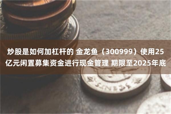炒股是如何加杠杆的 金龙鱼（300999）使用25亿元闲置募集资金进行现金管理 期限至2025年底