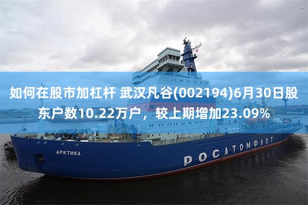 如何在股市加杠杆 武汉凡谷(002194)6月30日股东户数10.22万户，较上期增加23.09%