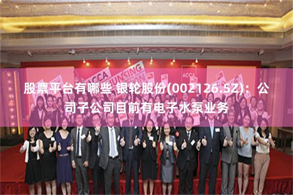 股票平台有哪些 银轮股份(002126.SZ)：公司子公司目前有电子水泵业务