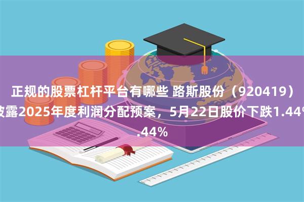正规的股票杠杆平台有哪些 路斯股份（920419）披露2025年度利润分配预案，5月22日股价下跌1.44%