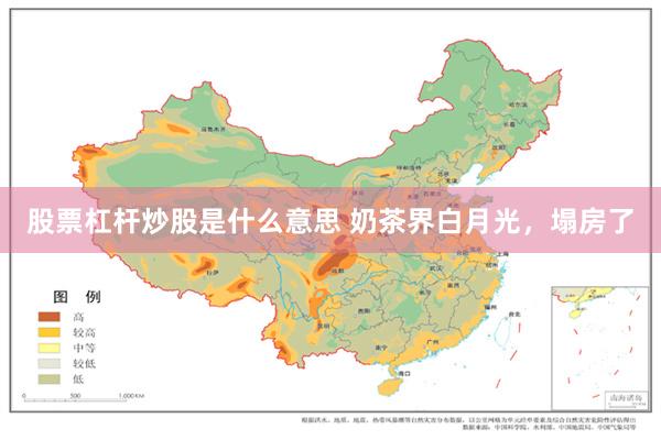 股票杠杆炒股是什么意思 奶茶界白月光，塌房了