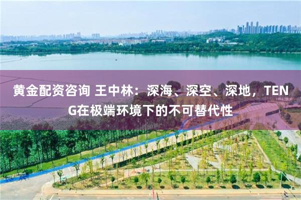 黄金配资咨询 王中林：深海、深空、深地，TENG在极端环境下的不可替代性