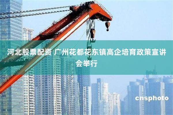 河北股票配资 广州花都花东镇高企培育政策宣讲会举行