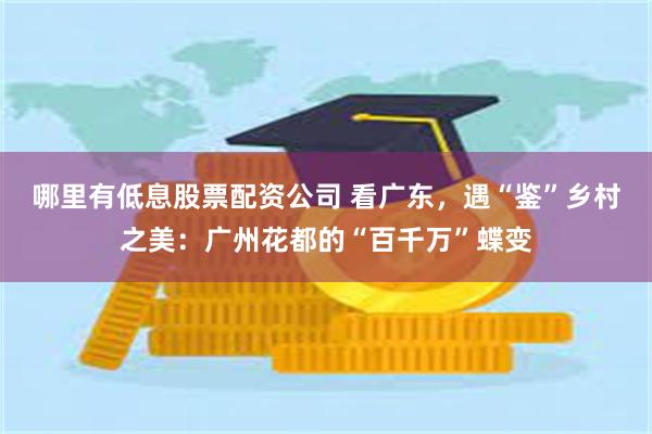 哪里有低息股票配资公司 看广东,遇“鉴”乡村之美:广州花都的“百千万”蝶变