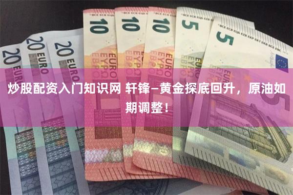 炒股配资入门知识网 轩锋—黄金探底回升，原油如期调整！