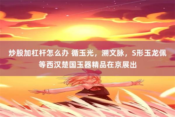 炒股加杠杆怎么办 循玉光，溯文脉，S形玉龙佩等西汉楚国玉器精品在京展出