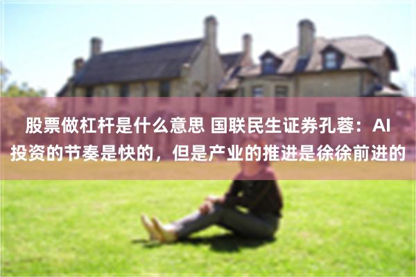 股票做杠杆是什么意思 国联民生证券孔蓉：AI投资的节奏是快的，但是产业的推进是徐徐前进的