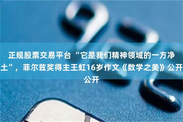 正规股票交易平台 “它是我们精神领域的一方净土”，菲尔兹奖得主王虹16岁作文《数学之美》公开