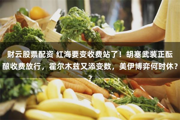 财云股票配资 红海要变收费站了！胡塞武装正酝酿收费放行，霍尔木兹又添变数，美伊博弈何时休？