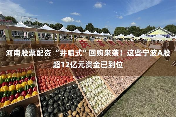 河南股票配资 “井喷式”回购来袭！这些宁波A股超12亿元资金已到位
