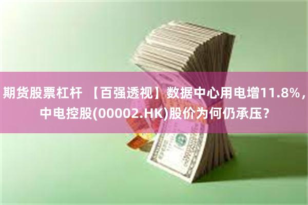 期货股票杠杆 【百强透视】数据中心用电增11.8%，中电控股(00002.HK)股价为何仍承压？