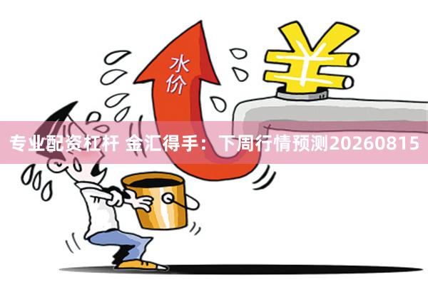 专业配资杠杆 金汇得手：下周行情预测20260815