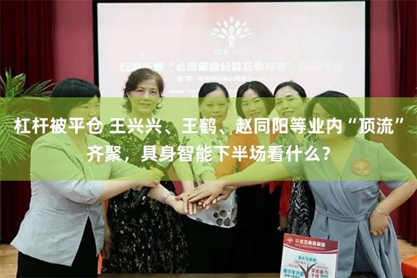 杠杆被平仓 王兴兴、王鹤、赵同阳等业内“顶流”齐聚，具身智能下半场看什么？