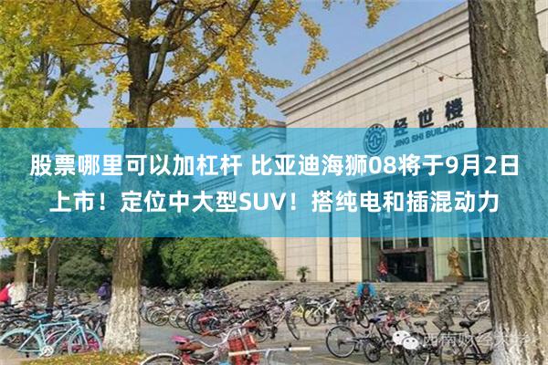 股票哪里可以加杠杆 比亚迪海狮08将于9月2日上市！定位中大型SUV！搭纯电和插混动力