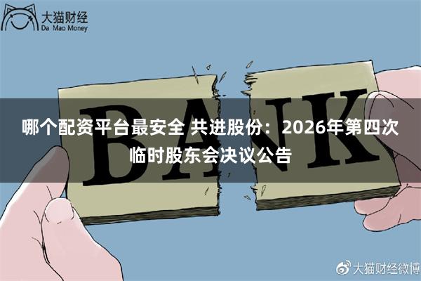 哪个配资平台最安全 共进股份：2026年第四次临时股东会决议公告