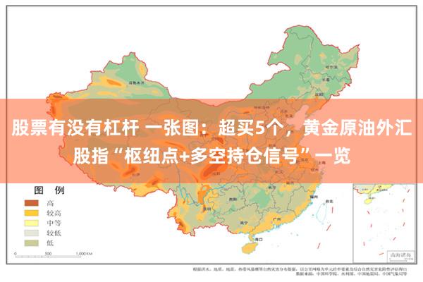 股票有没有杠杆 一张图:超买5个,黄金原油外汇股指“枢纽点+多空持仓信号”一览